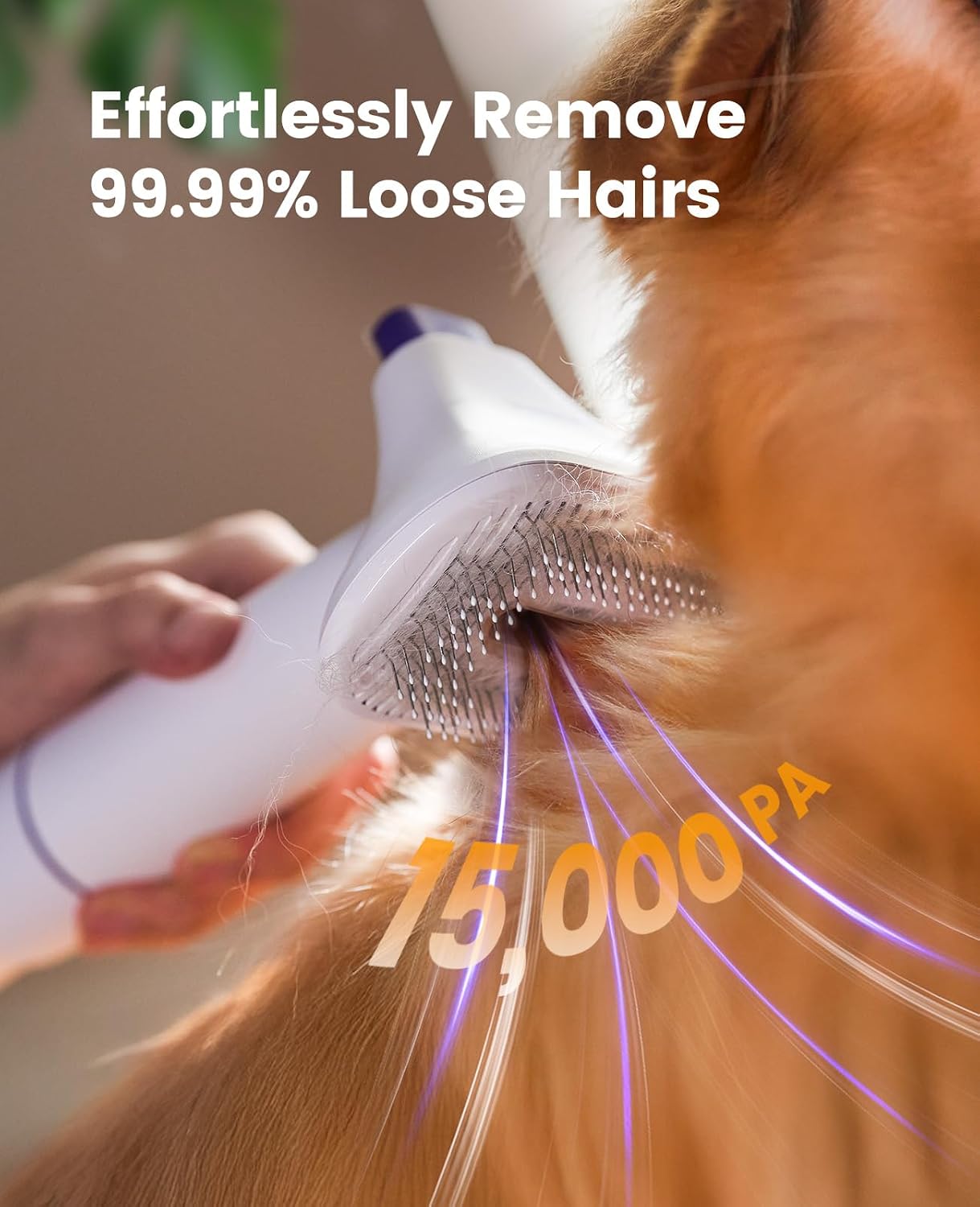 oneisall Dog Hair Vacuum Shedd - огляд і ціна Pet Grooming Vacuum Suction Kit 5 In 1