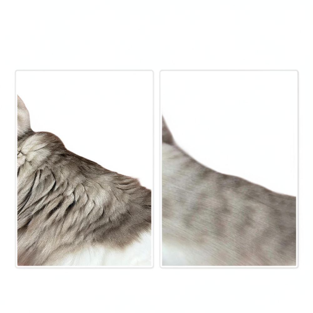 Pet Hair Remover Tool Curved B - огляд і ціна Undercoat Rake Dematting Tool Dog Shedding