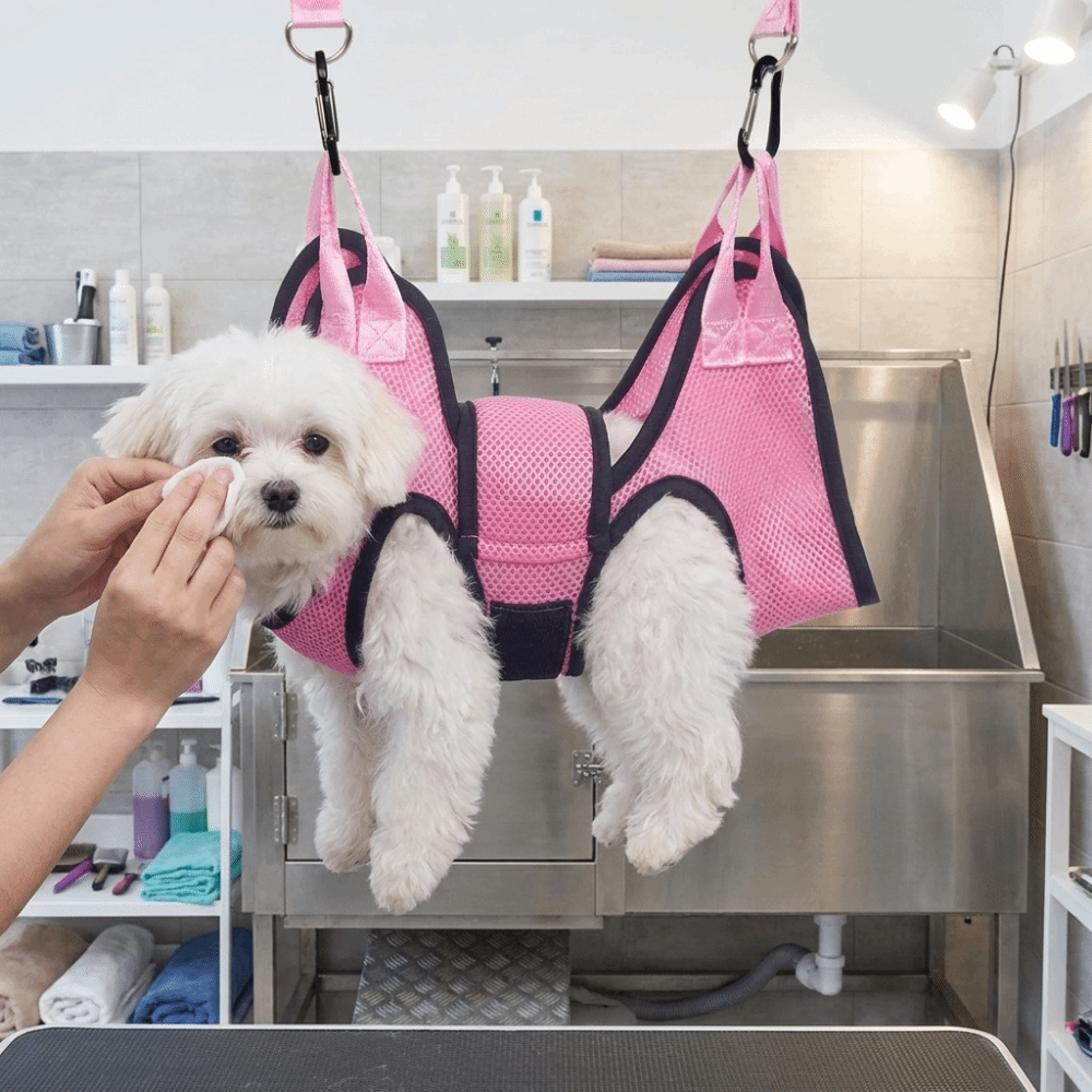 Adjustable Dog Grooming Hammoc - огляд і ціна Pet Grooming Hammock Sling Restraint