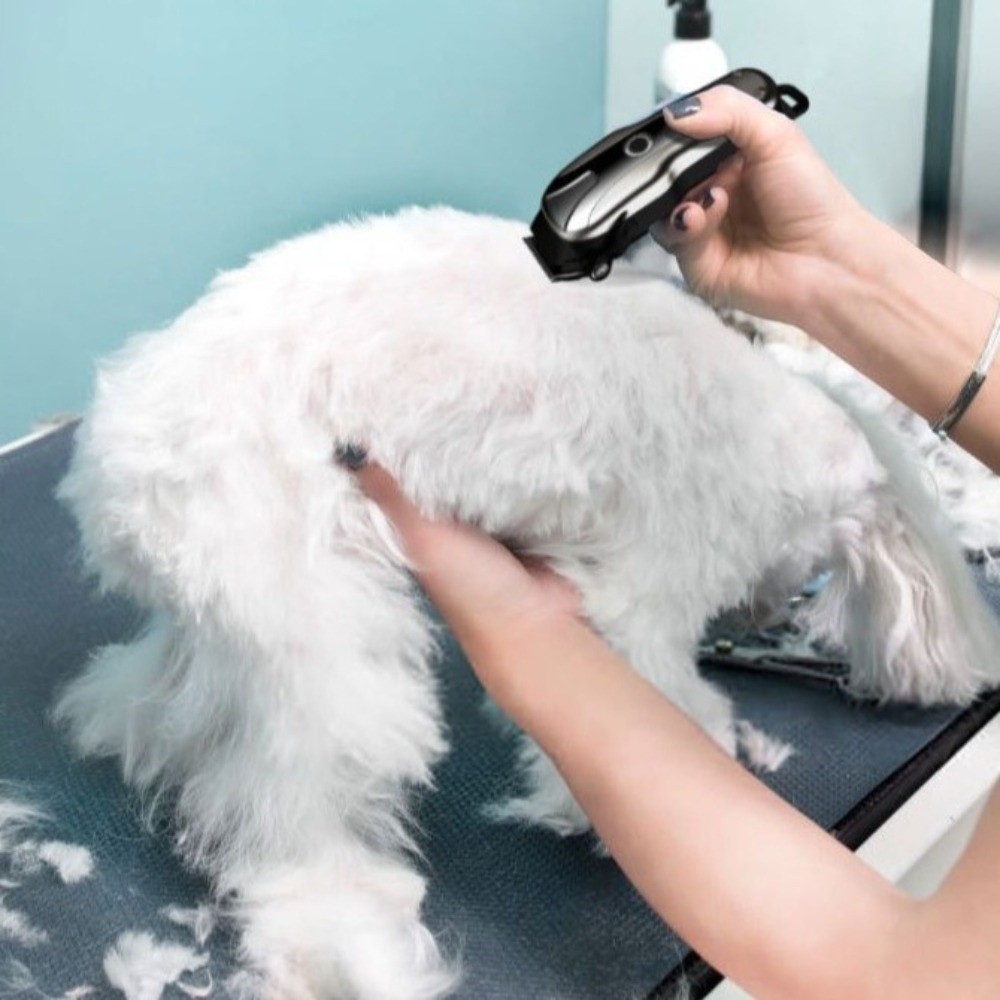 Universal USB Rechargeable Ele - огляд і ціна Cordless Dog Clippers Low Noise Grooming