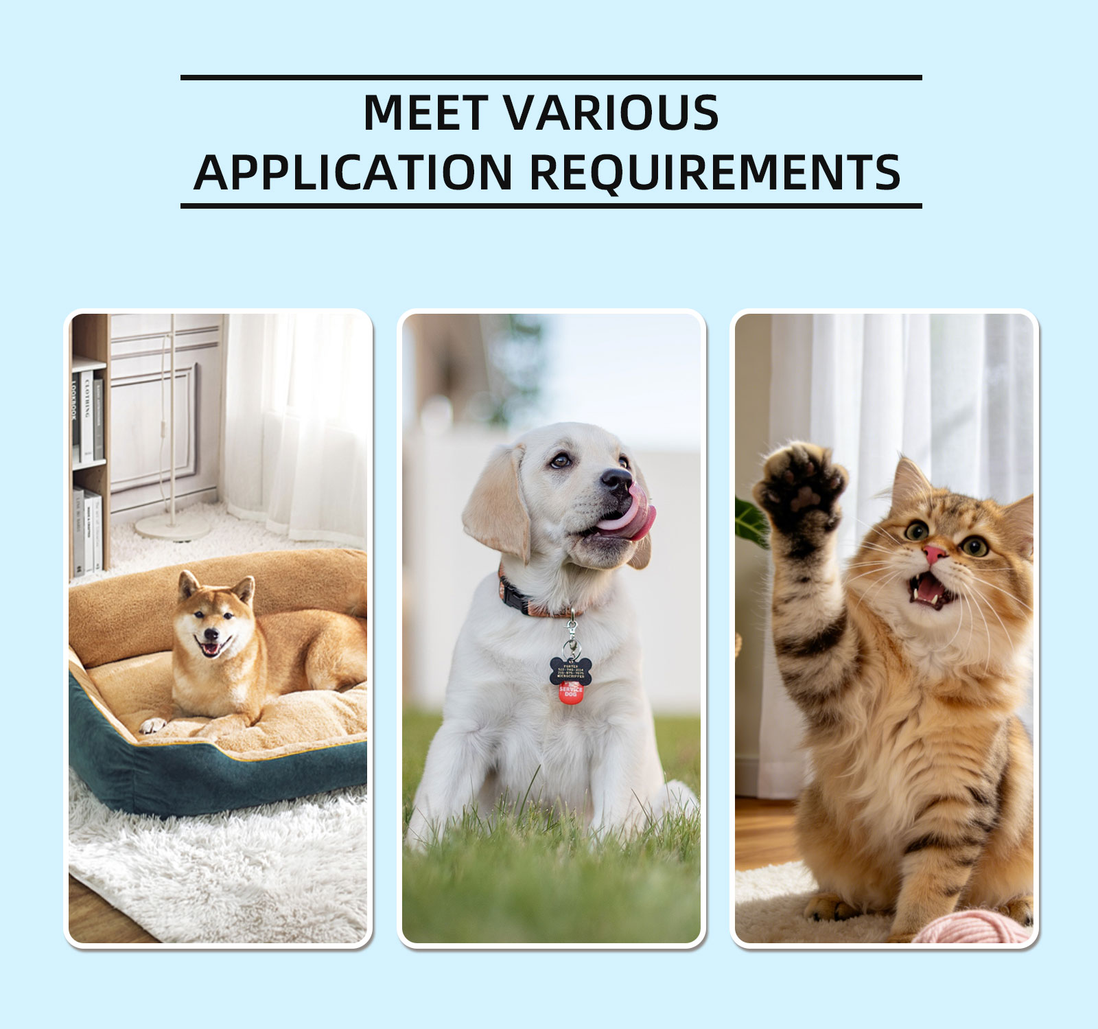 Cat Dog Ear Cleaner Solution 1 - огляд і ціна Dog Ear Cleaner Solution Drops Wash