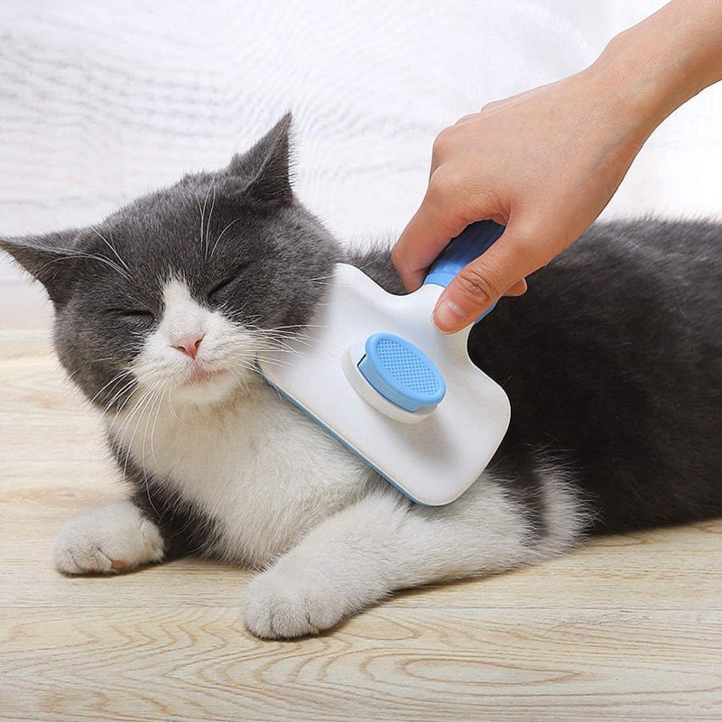 Self‑Cleaning Slicker Brush Pe - огляд і ціна Slicker Brush Self Cleaning Pet Grooming